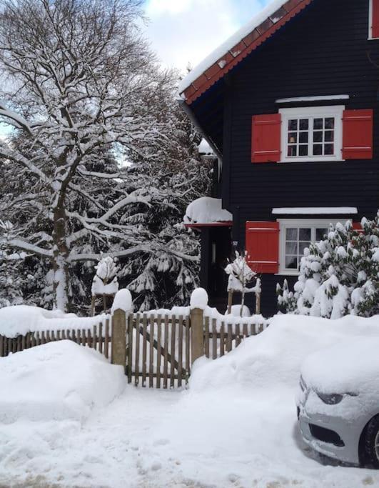 Villa Herzog - Ferienhaus Fuer 6 Personen In Braunlage, Harz Exterior foto